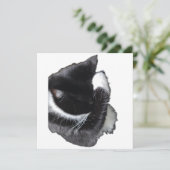 I Can't Even Right Meow (Stehend Vorderseite)