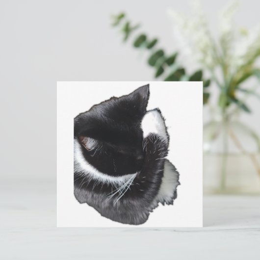 I Can't Even Right Meow (Stehend Vorderseite)