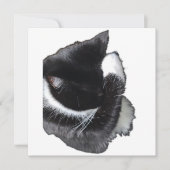 I Can't Even Right Meow (Vorderseite)