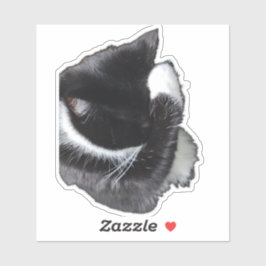 I Can't Even Right Meow Aufkleber