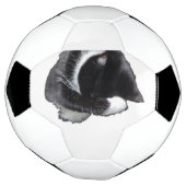 I Can't Even Right Meow Fußball (Gedreht)