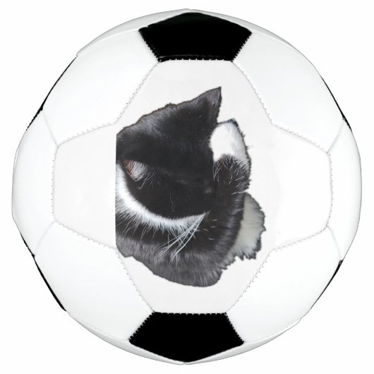 I Can't Even Right Meow Fußball (Vorderseite)