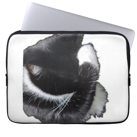 I Can't Even Right Meow Laptopschutzhülle (Vorderseite)