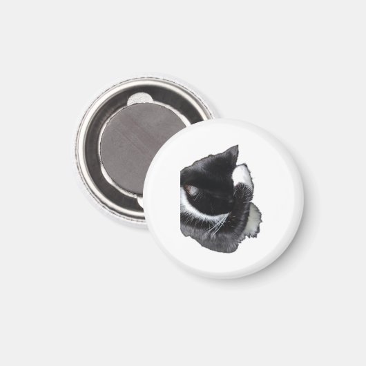 I Can't Even Right Meow Magnet (Vorderseite/Rückseite)