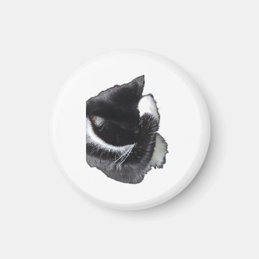 I Can't Even Right Meow Magnet (Vorne)