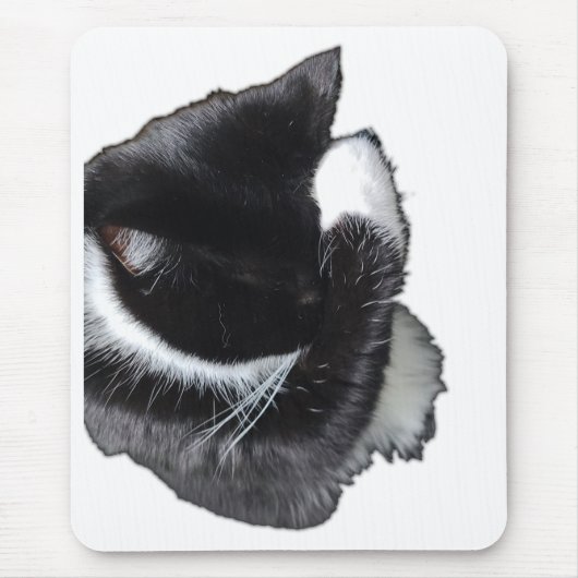 I Can't Even Right Meow Mousepad (Vorne)