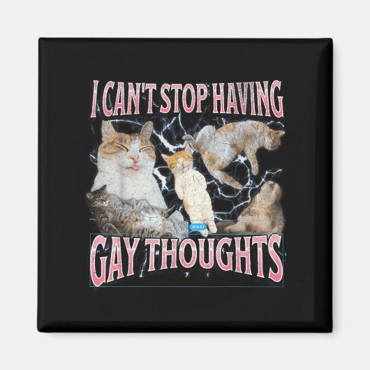 I Can't Stop Having Gay Thoughts Funny Cat Meme Bo Magnet (Vorne)