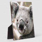 I Care_ Fotoplatte (Seite)