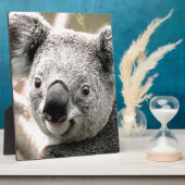 I Care_ Fotoplatte (Seite)