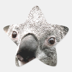 I Care_ Stern-Aufkleber