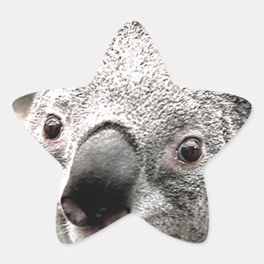 I Care_ Stern-Aufkleber (Vorderseite)