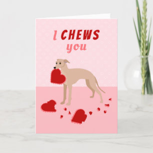 I Chews You Italian Greyhound Valentine's Day Feiertagskarte