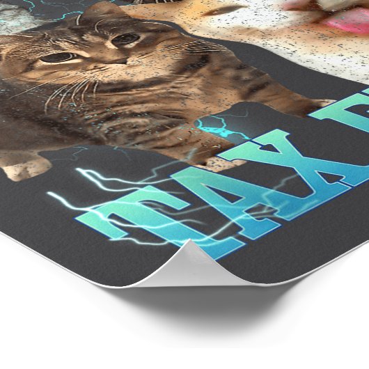 I Commit Tax Fraud Funny Cat Meme Bootleg Graphic  Poster (Ecke)