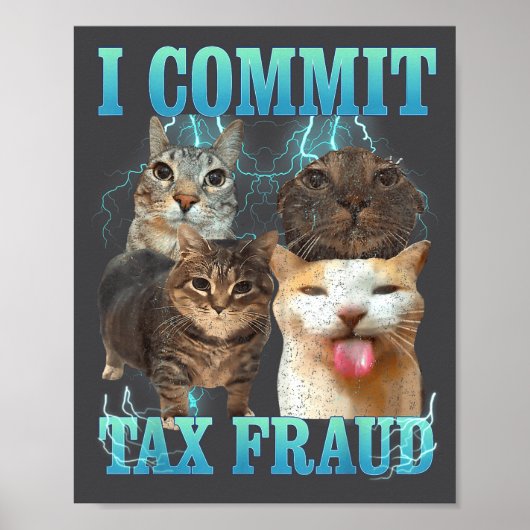 I Commit Tax Fraud Funny Cat Meme Bootleg Graphic  Poster (Vorne)