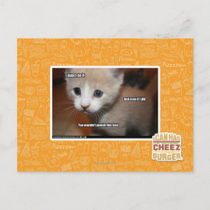 I didn't do it. postkarte