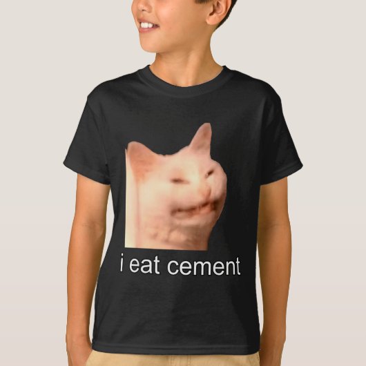 I Eat Cement Cursed Cat Funny Oddly Specific Meme T-Shirt (Vorderseite)