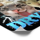 I Eat Dry Wall Funny Cat Meme  Poster (Ecke)