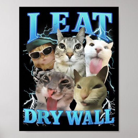 I Eat Dry Wall Funny Cat Meme  Poster (Vorne)