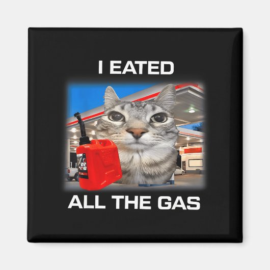 I Eated All The Gas Funny Silly Staring Cat Meme G Magnet (Vorne)