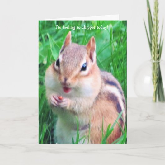 I feel Chipper today! Karte (Vorderseite)