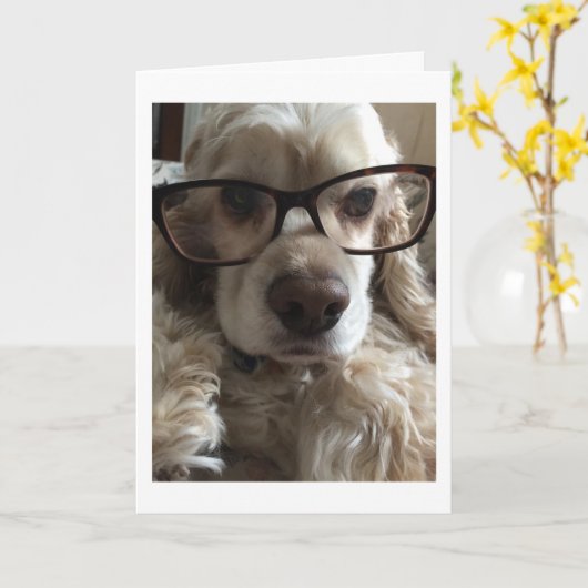 I ****FEHLER**** SIE KARTE (Gelbe Blume)