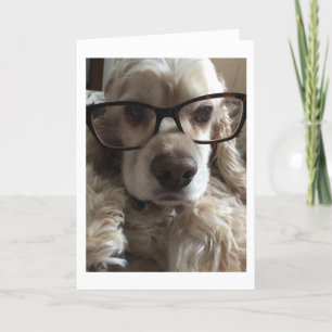 I ****FEHLER**** SIE KARTE