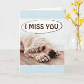 ****I FEHLT IHNEN**** UND TEILT IHNEN MIT KARTE (Gelbe Blume)