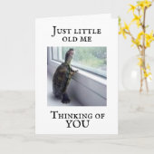 *I FISS YOU* SAYS TURTLE CARD KARTE (Gelbe Blume)