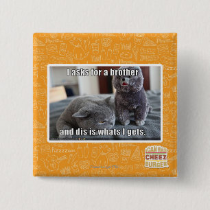 I fragt für einen Bruder Button