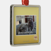 I fragt für einen Bruder Silbernes Ornament (Rechts)