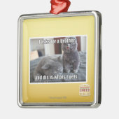 I fragt für einen Bruder Silbernes Ornament (Links)