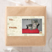 I Furzen in Ihrem gen'ral direkshun (Insitu)