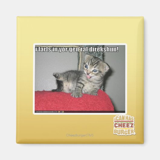 I Furzen in Ihrem gen'ral direkshun Magnet (Vorne)