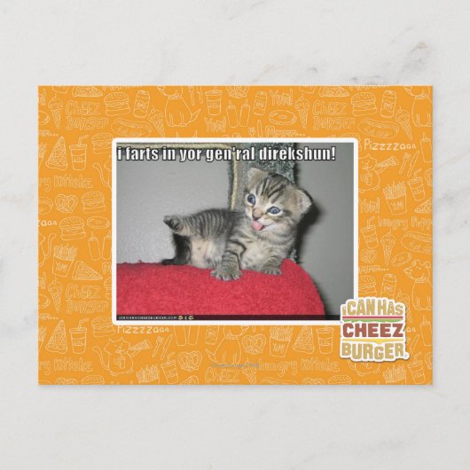 I Furzen in Ihrem gen'ral direkshun Postkarte (Vorderseite)