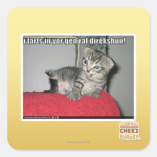 I Furzen in Ihrem gen'ral direkshun Quadratischer Aufkleber (Vorderseite)