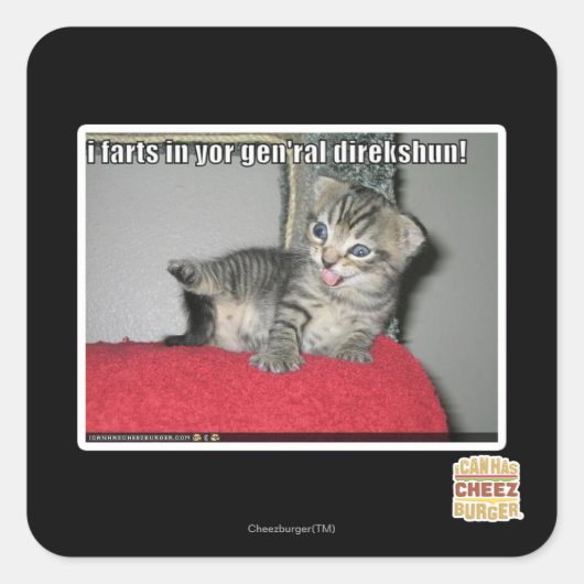 I Furzen in Ihrem gen'ral direkshun Quadratischer Aufkleber (Vorderseite)