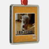 I hat ein Aroma Silbernes Ornament (Rechts)