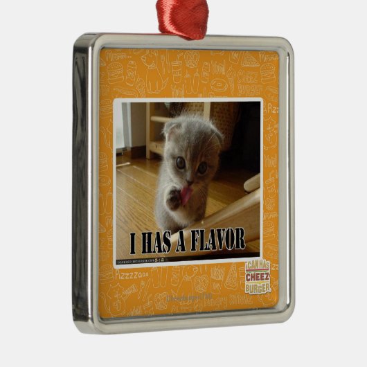 I hat ein Aroma Silbernes Ornament (Rechts)