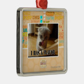 I hat ein Aroma Silbernes Ornament (Rechts)