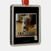 I hat ein Aroma Silbernes Ornament (Rechts)