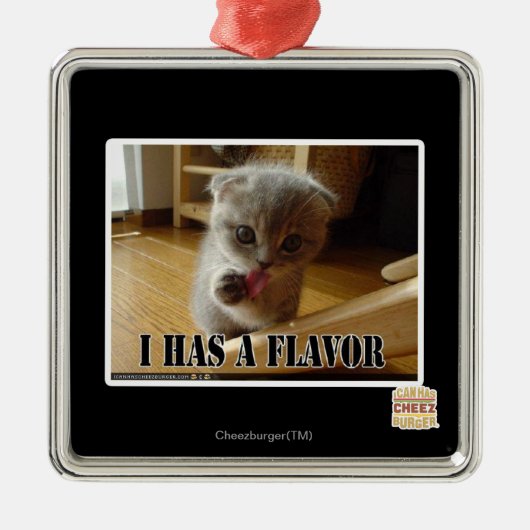 I hat ein Aroma Silbernes Ornament (Vorne)