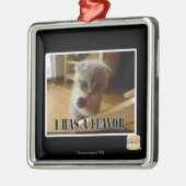 I hat ein Aroma Silbernes Ornament (Links)