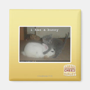 I hat ein Häschen Magnet