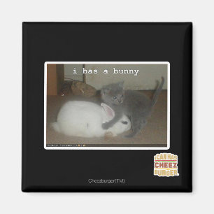 I hat ein Häschen Magnet