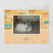 I hat ein Häschen Postkarte (Vorderseite)