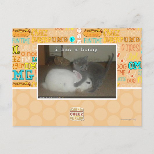 I hat ein Häschen Postkarte (Vorderseite)
