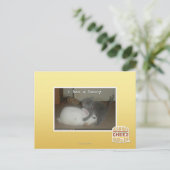 I hat ein Häschen Postkarte (Stehend Vorderseite)