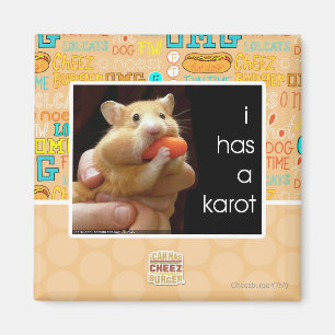 I hat ein karot magnet