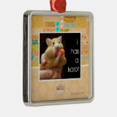 I hat ein karot silbernes ornament (Rechts)