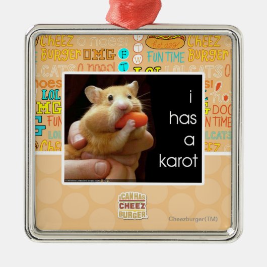 I hat ein karot silbernes ornament (Vorne)